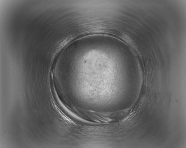 X0000057080389200509120926