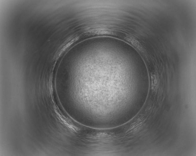 X0000057080390200509120926