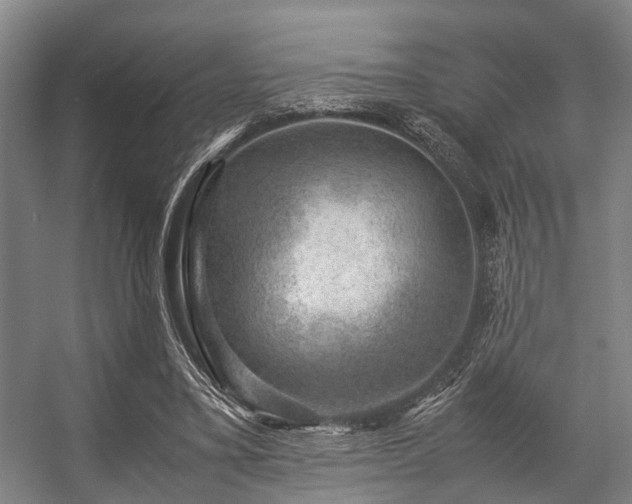 X0000057080395200509120926