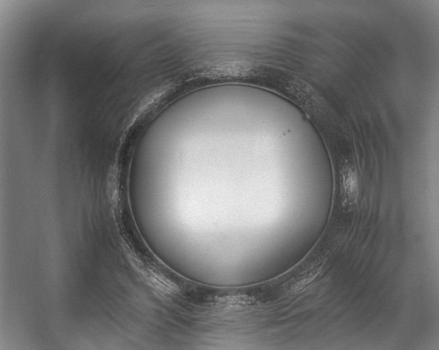 X0000057080396200509120926