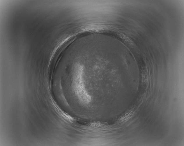 X0000057080399200509120926