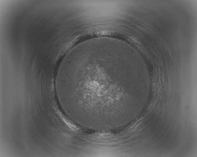 X0000057080401200509120926