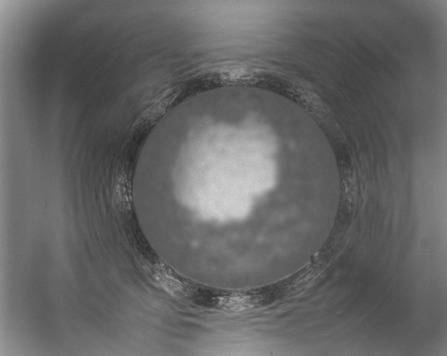 X0000057080419200509120925