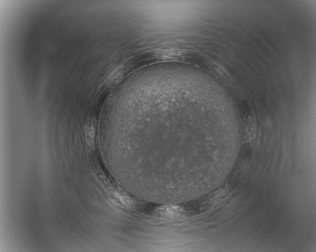 X0000057080427200509120925