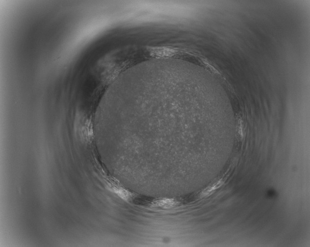 X0000057080431200509120925