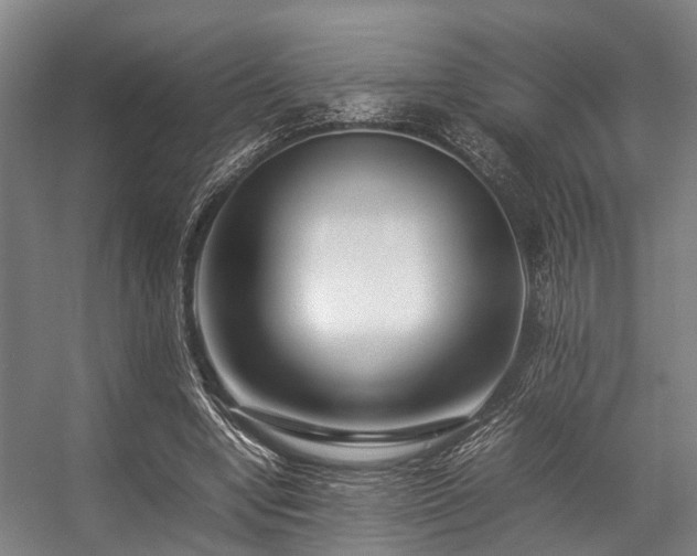 X0000057080442200509120924