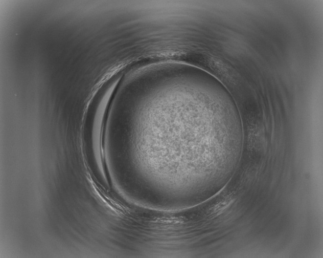 X0000057080443200509120924