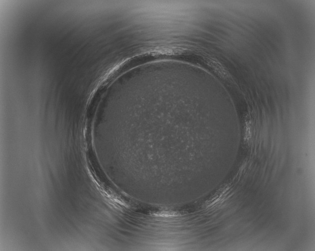 X0000057080444200509120925