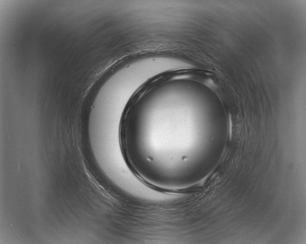 X0000057080448200509120925