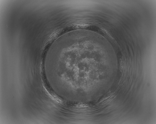 X0000057080451200509120925