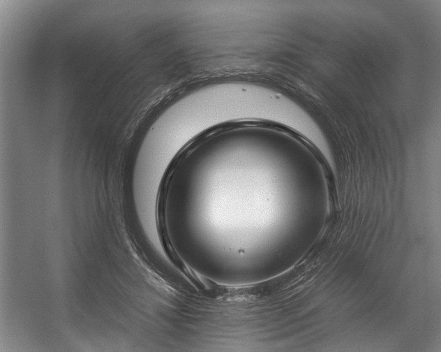 X0000057080452200509120925