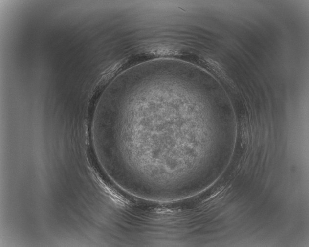 X0000057080453200509120925