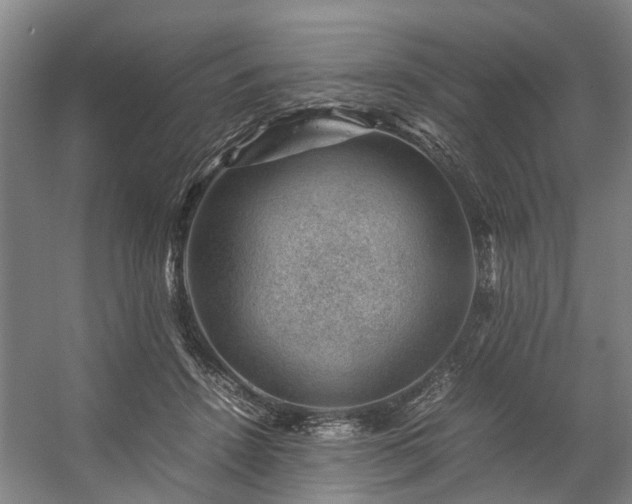 X0000057080456200509120925