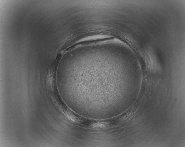 X0000057080461200509120925