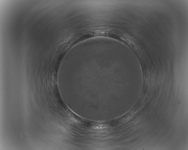 X0000057080467200509120925