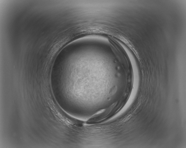 X0000057080481200509120924