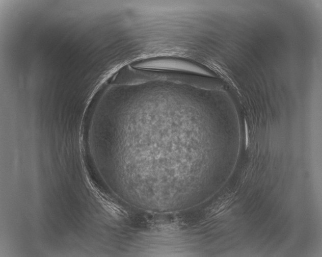 X0000057080483200509120924