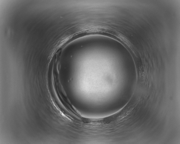 X0000057080485200509120924