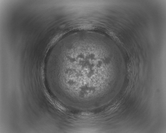 X0000057080487200509120924