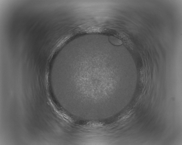 X0000057080491200509120924