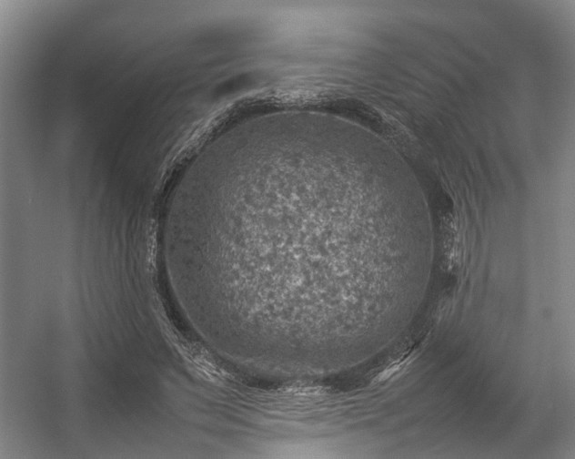 X0000057080495200509120924