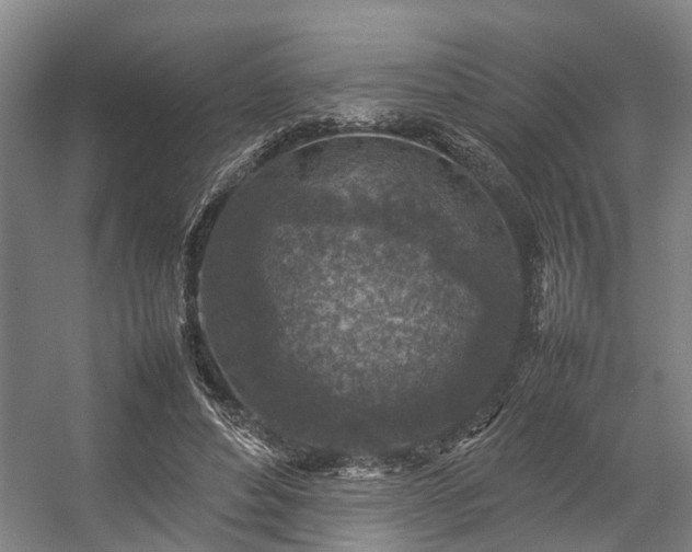 X0000057080496200509120924