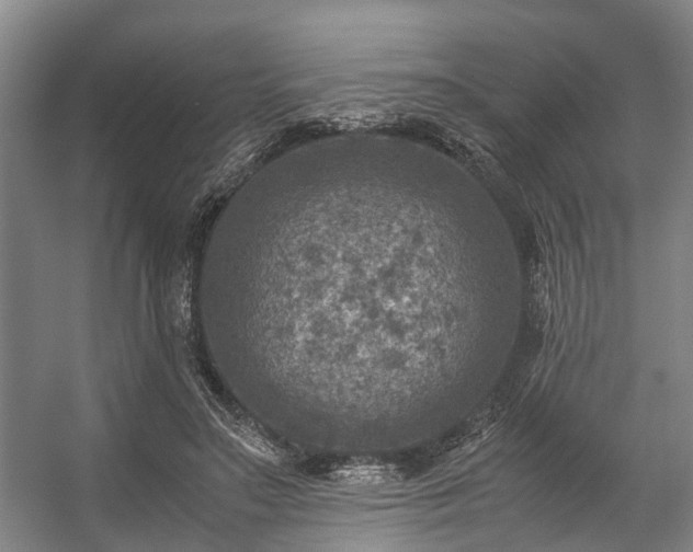 X0000057080499200509120924