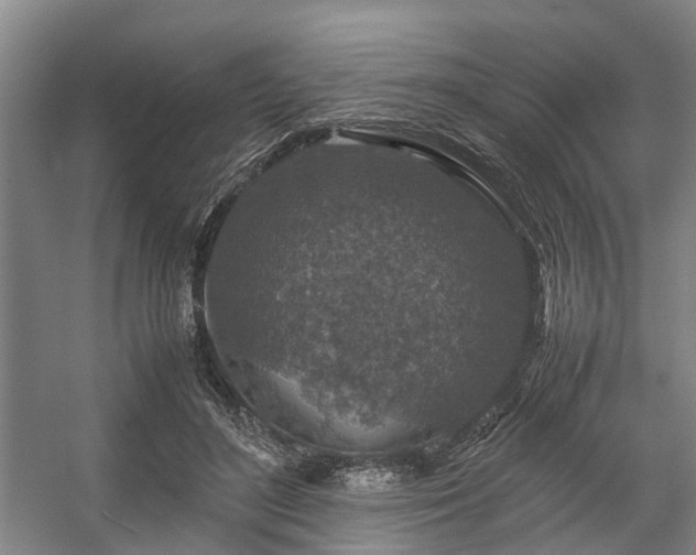 X0000057080500200509120924