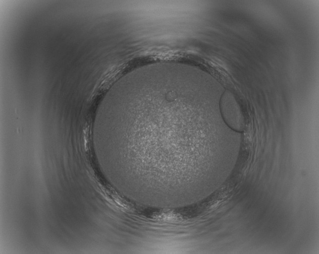 X0000057080503200509120924