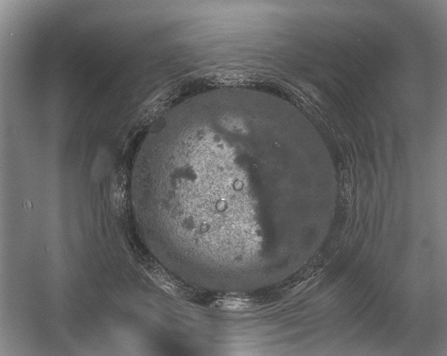 X0000057080507200509120924