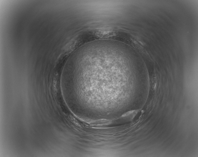 X0000057080515200509120924