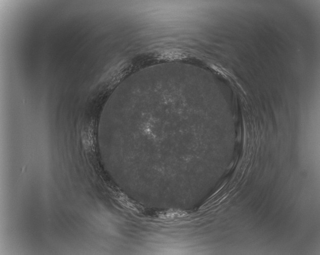 X0000057080517200509120924