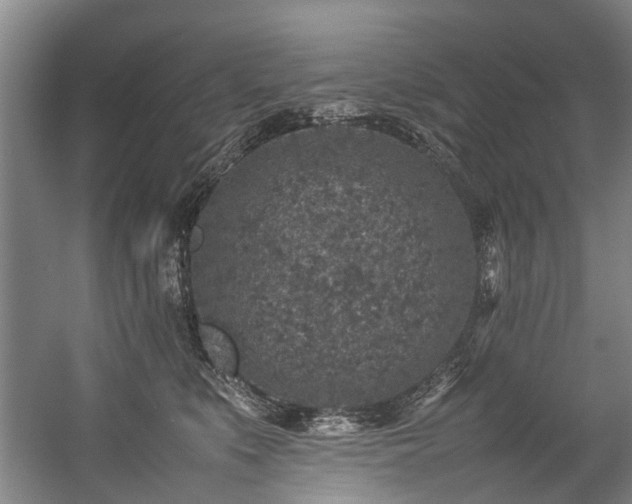 X0000057080519200509120924