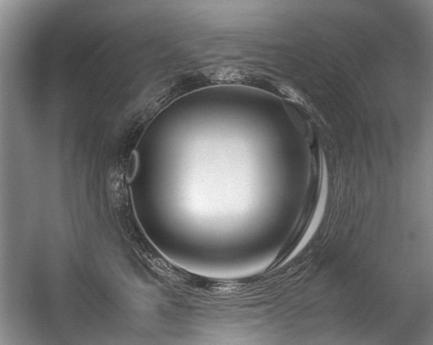 X0000057080521200509120924