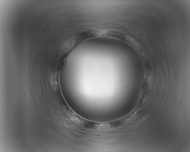 X0000057080525200509120924