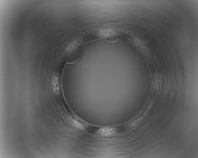 X0000057080526200509120924