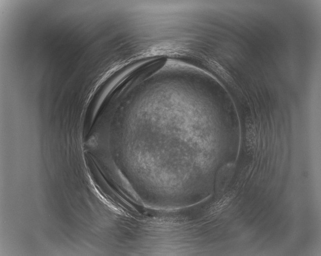 X0000057080530200509120923