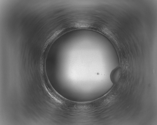 X0000057080533200509120923