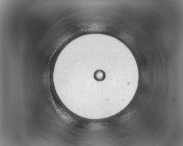 X0000057080534200509120923