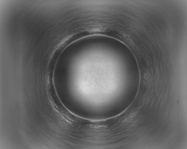 X0000057080539200509120923