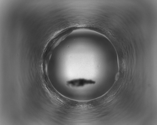 X0000057080540200509120923