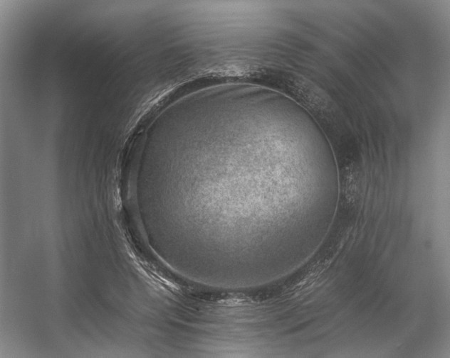 X0000057080544200509120923