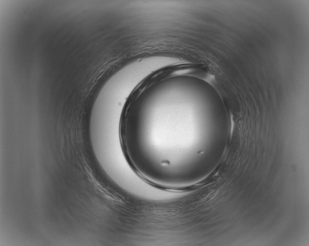 X0000057080546200509120923