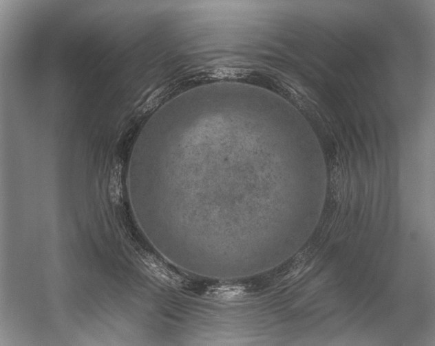 X0000057080554200509120923