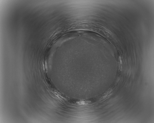 X0000057080558200509120923