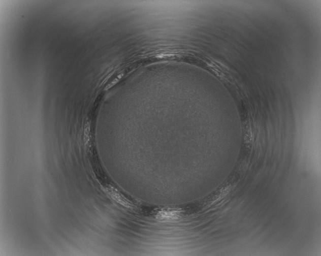 X0000057080560200509120923