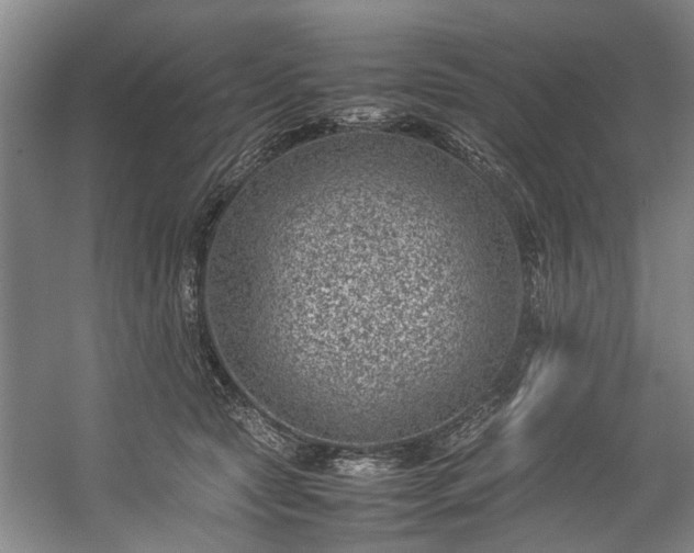 X0000057080561200509120923