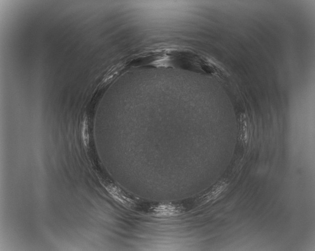 X0000057080562200509120923