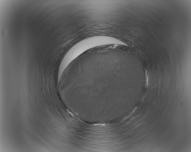 X0000057080570200509120923