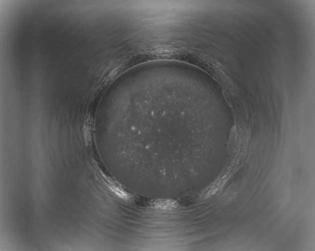 X0000057080576200509120923